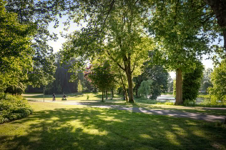 Foto 41 van Rijsterborgherweg 19