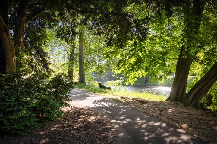 Foto 42 van Rijsterborgherweg 19