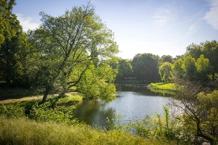 Foto 43 van Rijsterborgherweg 19