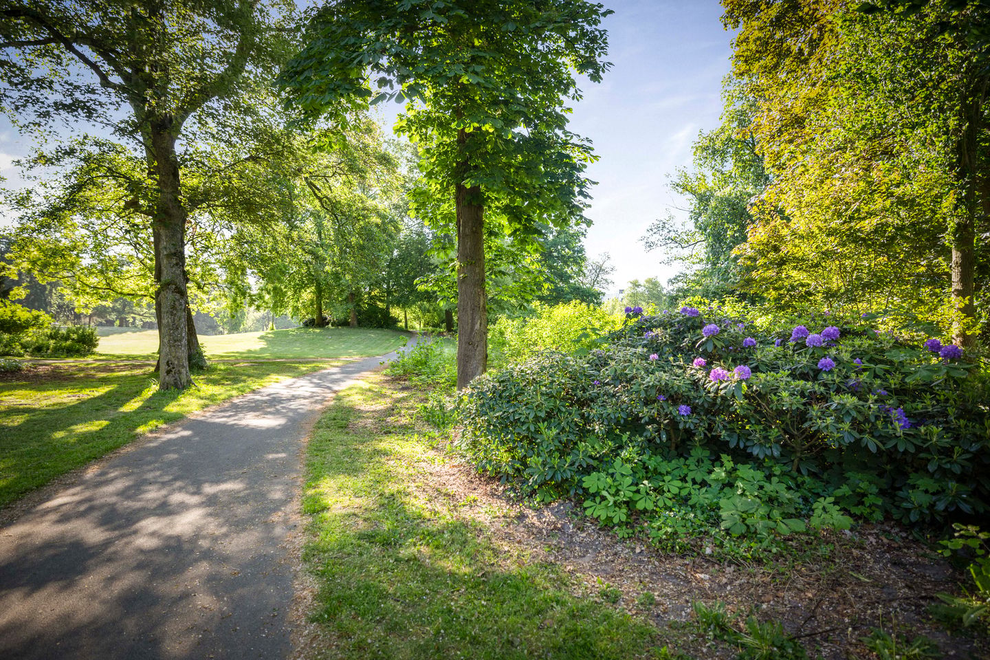 Photo 44 of Rijsterborgherweg 19