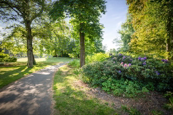 Foto 44 van Rijsterborgherweg 19