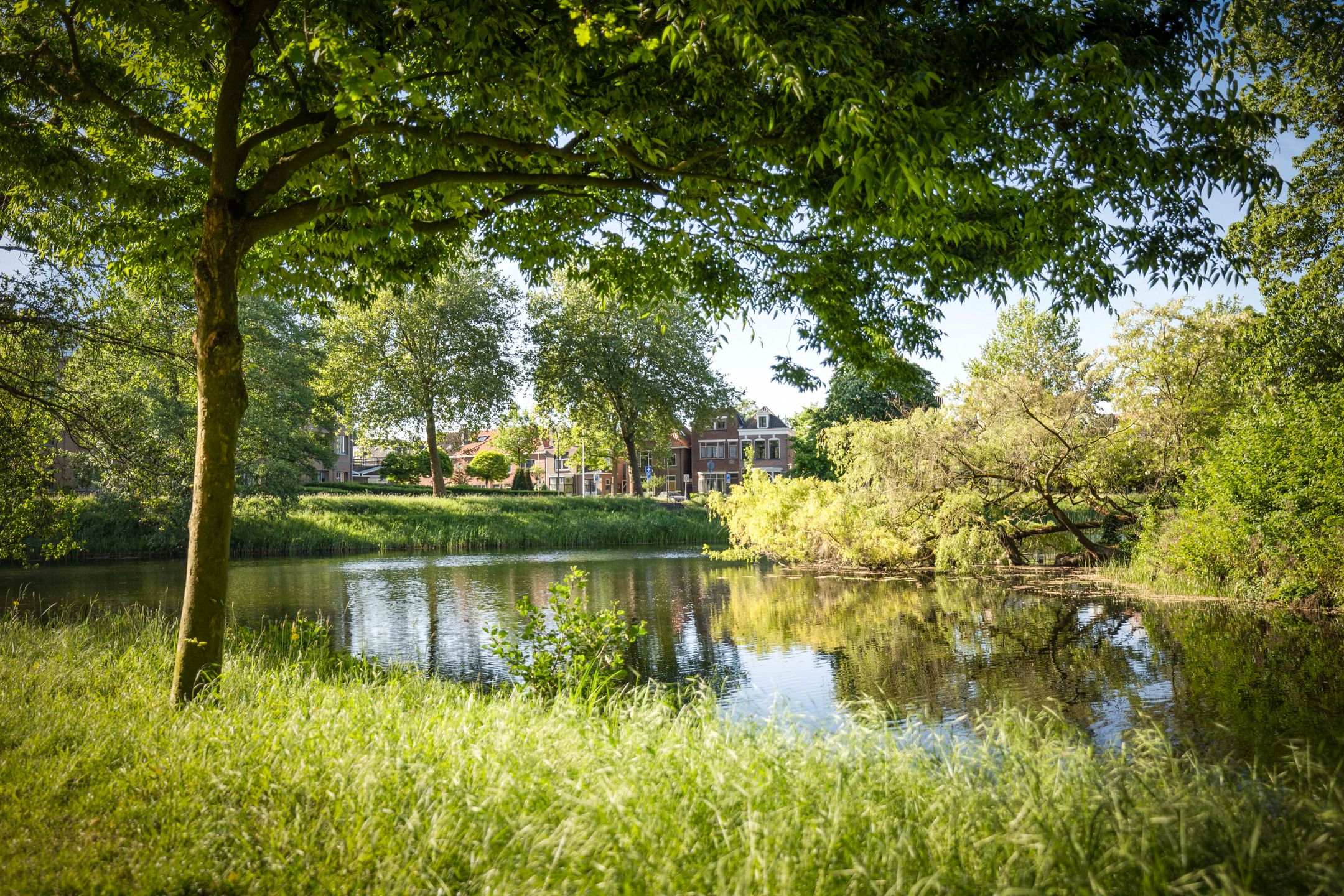Photo 45 of Rijsterborgherweg 19