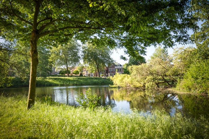 Foto 45 van Rijsterborgherweg 19