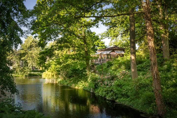 Foto 50 van Rijsterborgherweg 19