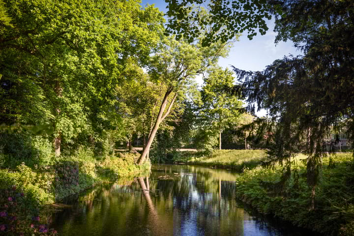 Foto 51 van Rijsterborgherweg 19