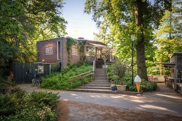 Foto 52 van Rijsterborgherweg 19