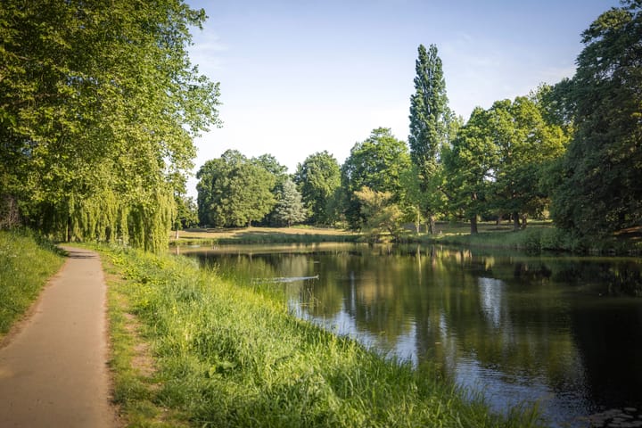 Foto 53 van Rijsterborgherweg 19