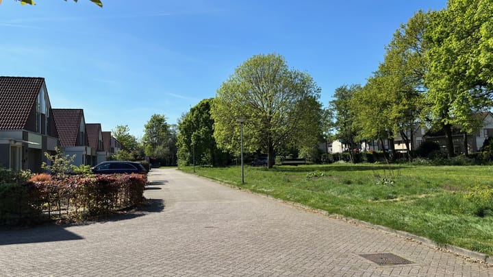 Foto 26 van De Regenwulp 31