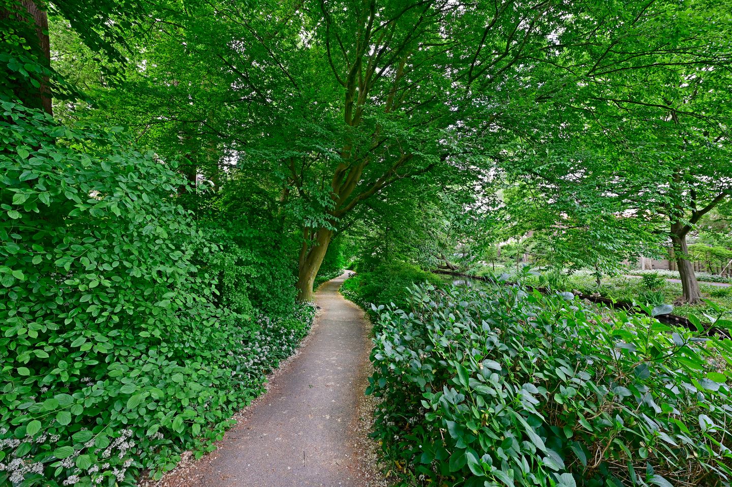 Foto 25 van Gerard Doulaan 61