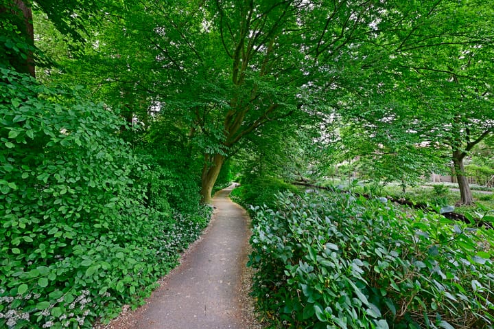 Foto 25 van Gerard Doulaan 61