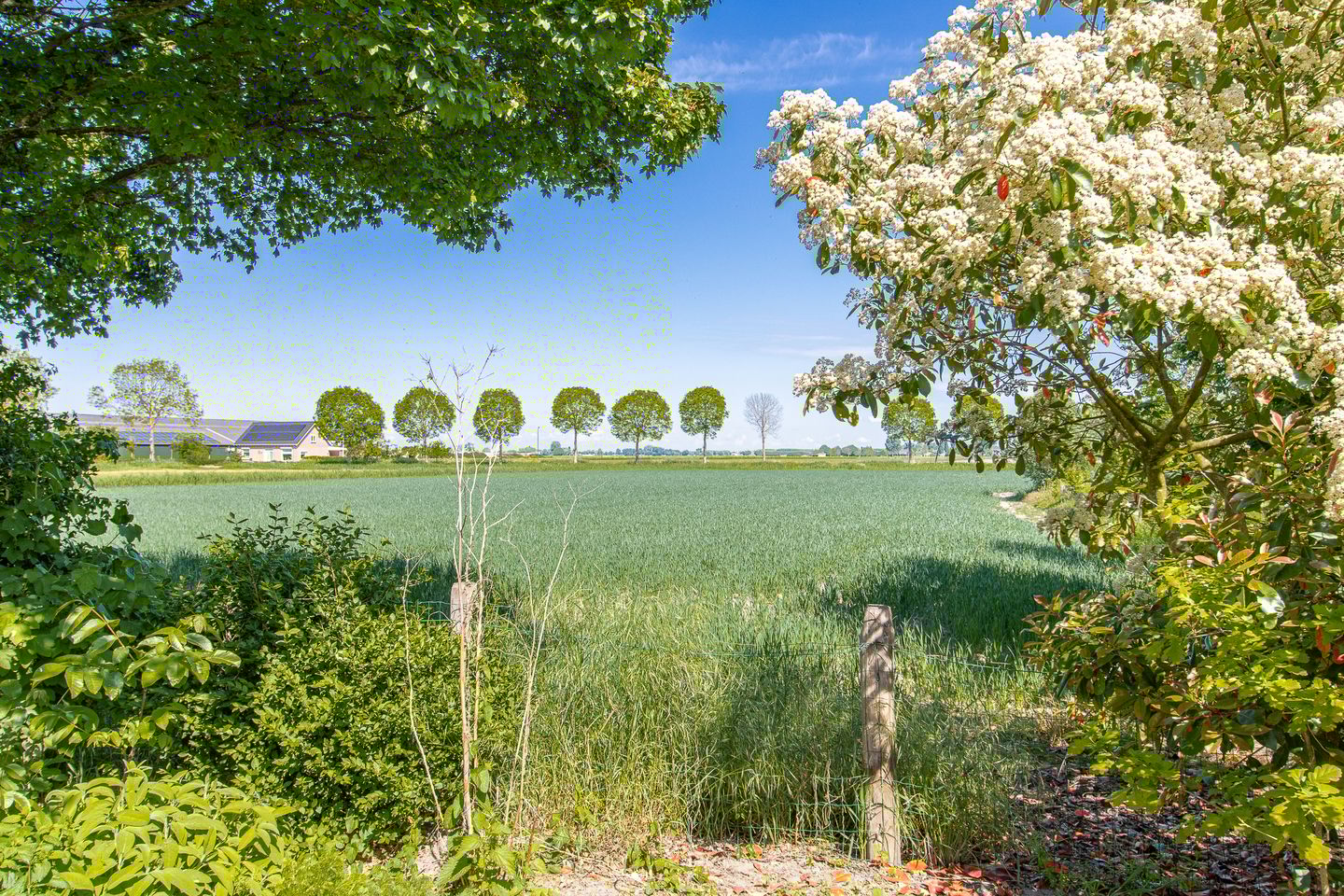 Foto 40 van Gansoyen 18