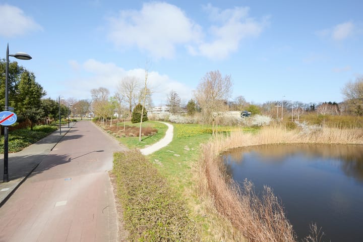 Foto 5 van Biezenland 5