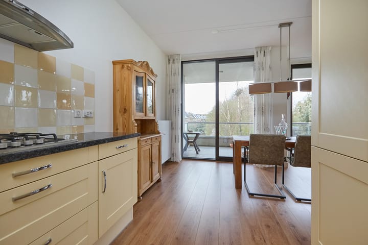 Foto 29 van Biezenland 5