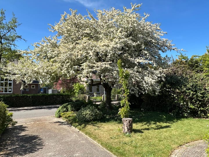 Foto 47 van v d Meerweg 5-B