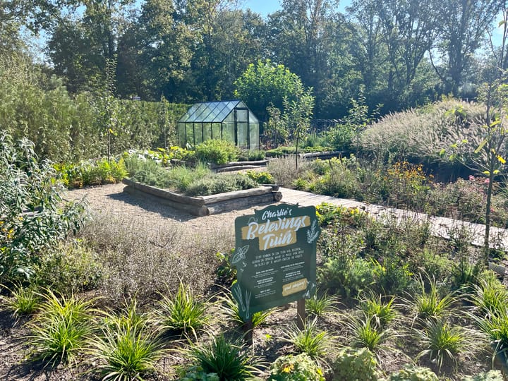 Photo 36 of Hermanusweg 4 I R79