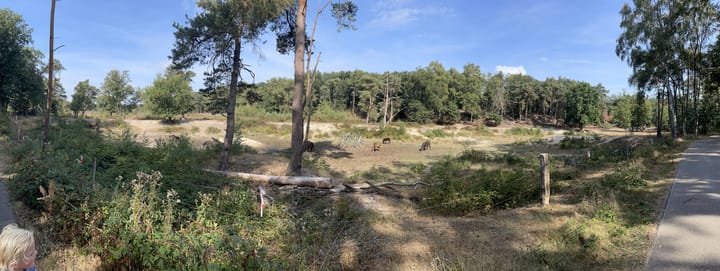 Photo 37 of Hermanusweg 4 I R79