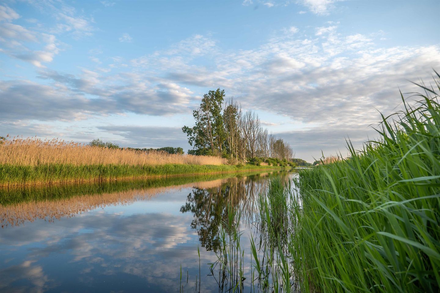 Photo 10 of De Notentuin Fase 2