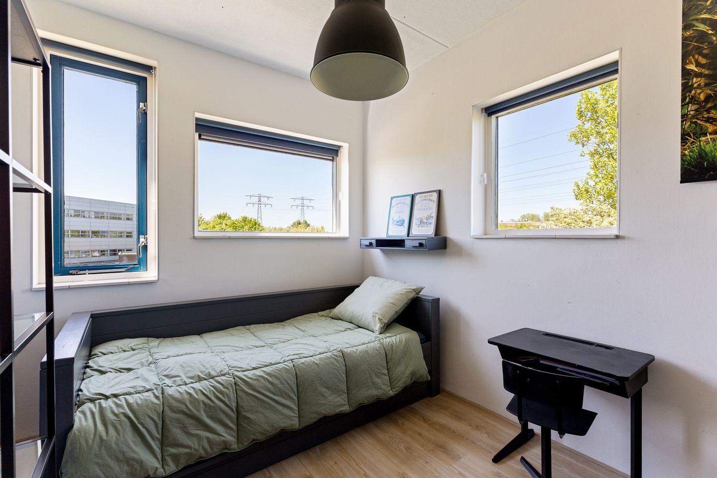 Foto 29 van Wiardaplantage 46