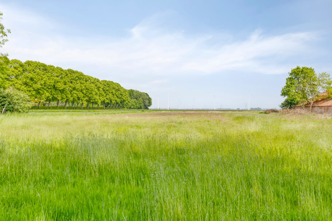 Foto 8 van Hereweg 243