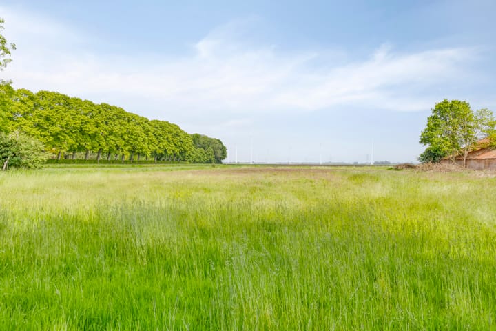 Foto 8 van Hereweg 243