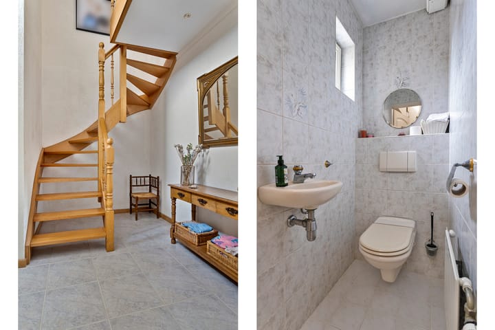 Foto 7 van Koekoeksbloem 4