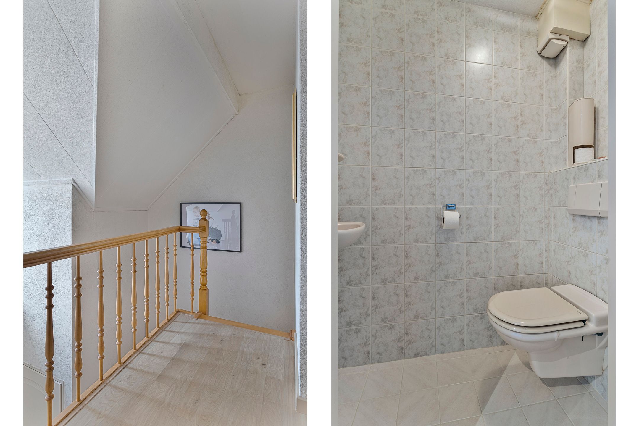 Photo 24 of Koekoeksbloem 4