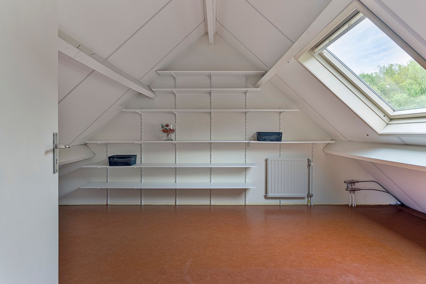 Photo 35 of Koekoeksbloem 4