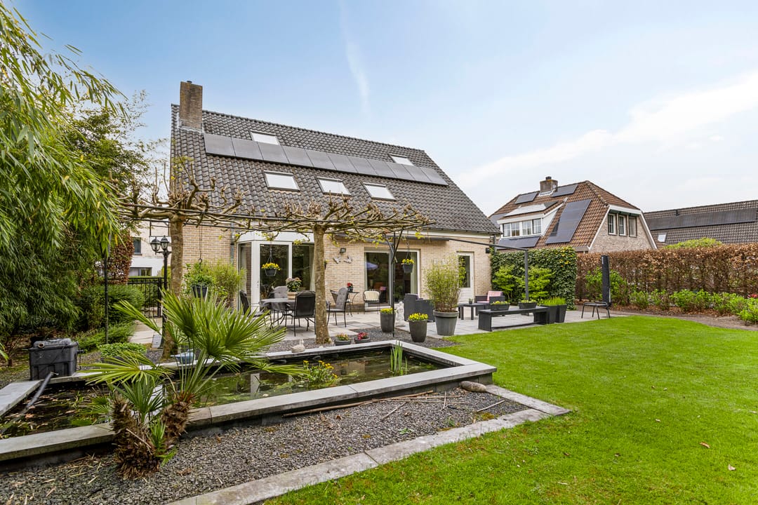 Photo 38 of Koekoeksbloem 4