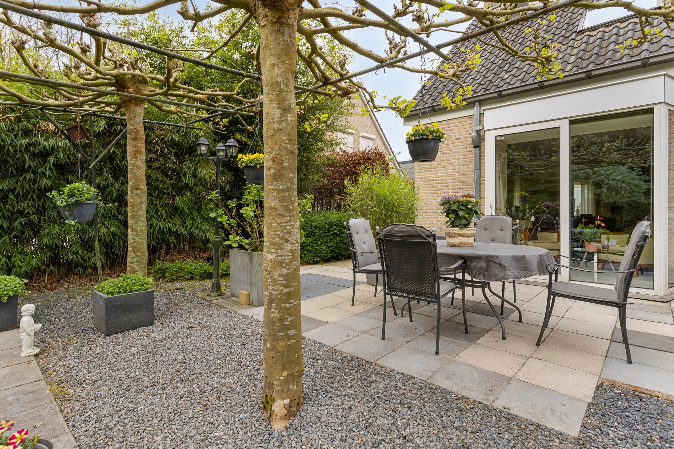 Photo 39 of Koekoeksbloem 4