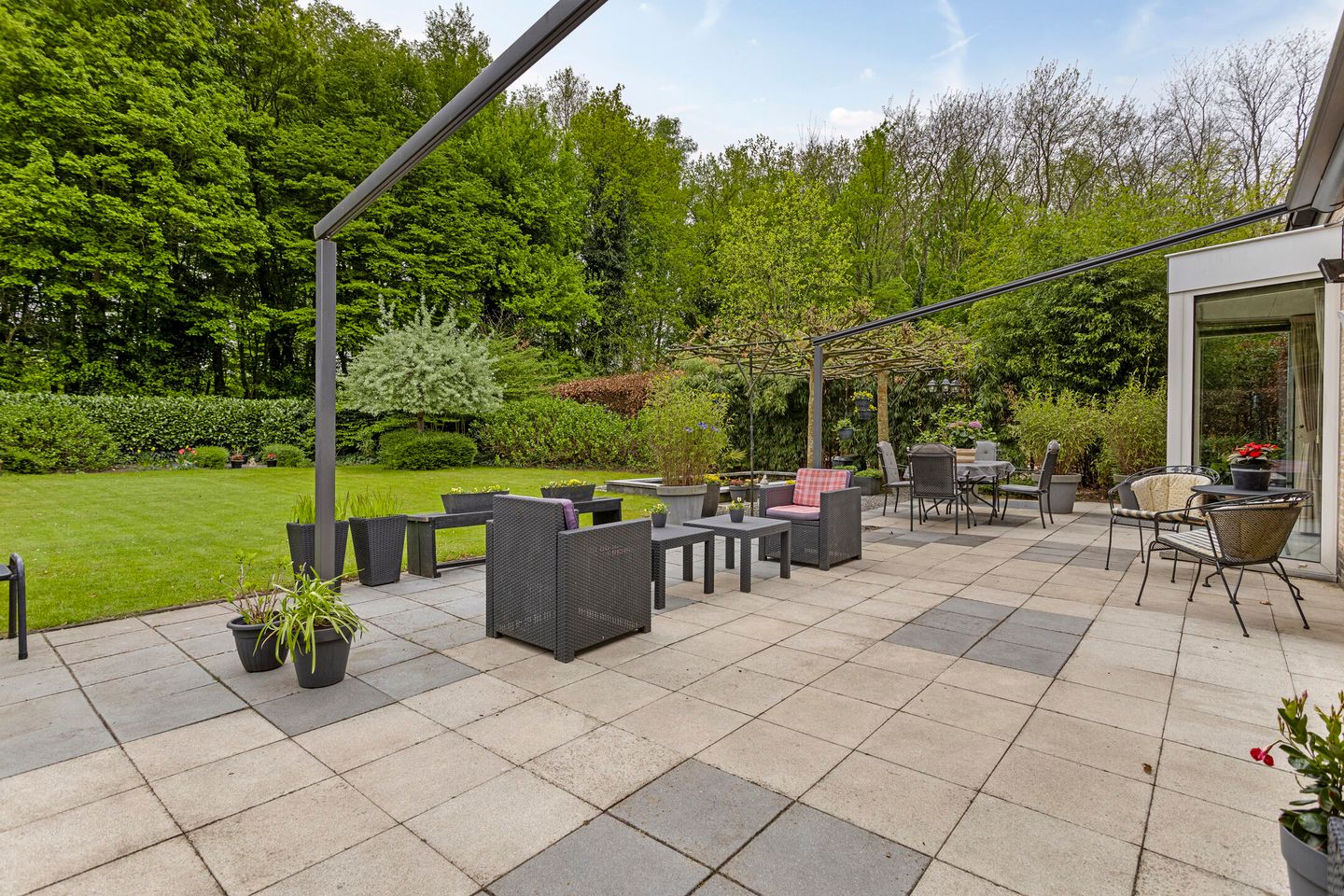 Photo 40 of Koekoeksbloem 4