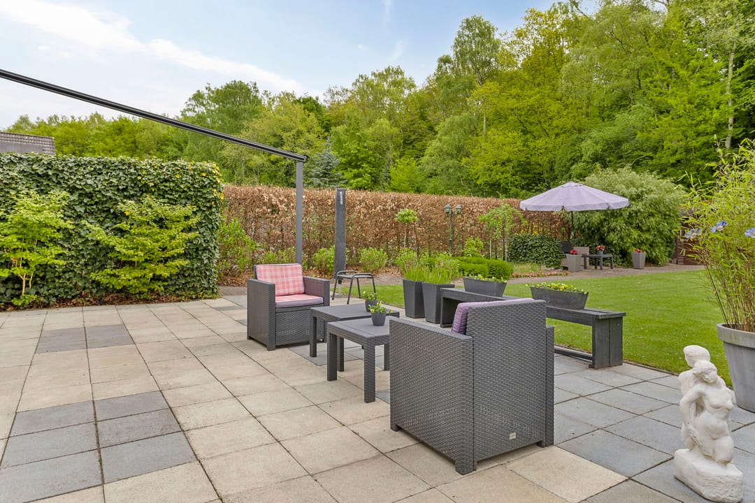 Photo 41 of Koekoeksbloem 4