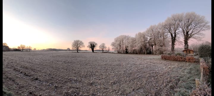 Photo 46 of Lomanskamp 18