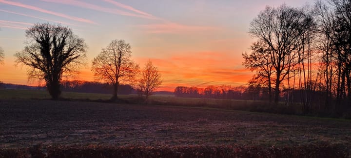 Photo 47 of Lomanskamp 18