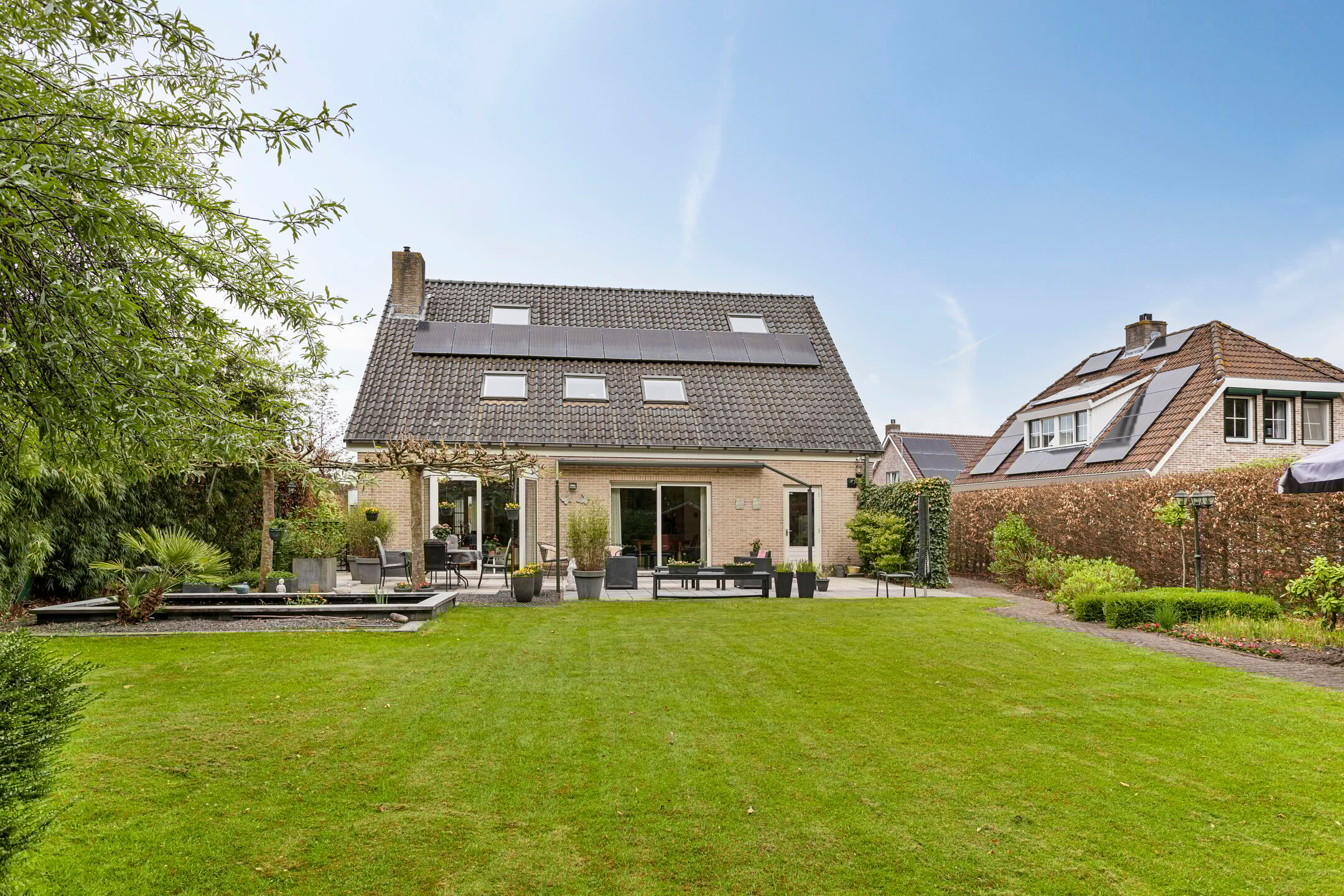 Photo 42 of Koekoeksbloem 4