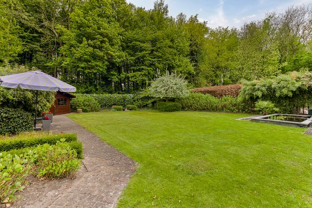 Photo 46 of Koekoeksbloem 4