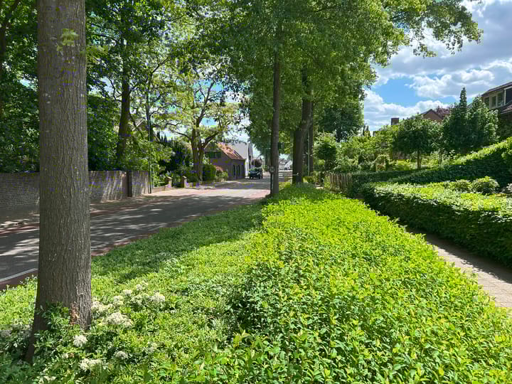 Foto 49 van Hoofdstraat 34