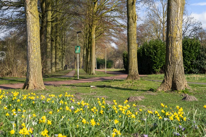 Photo 2 of Dotterlei 767