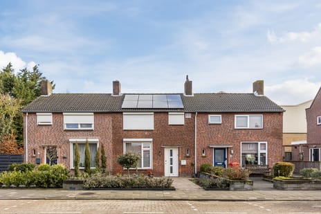 undefined main image