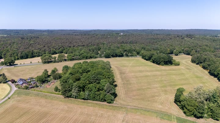 Foto 6 van Korensingel 1-A