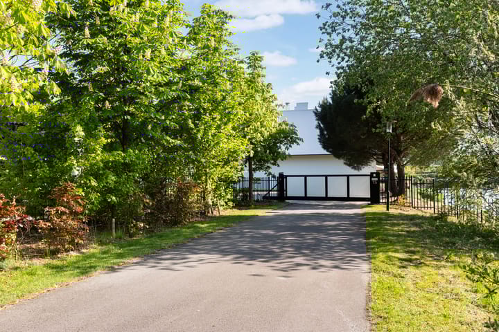 Photo 7 of Waterlelie 15