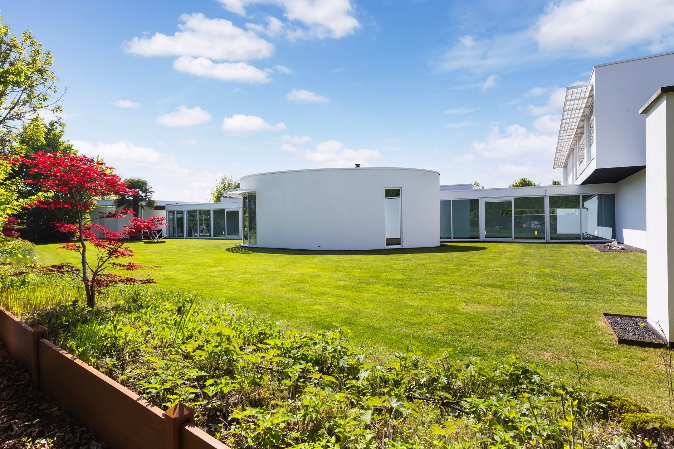 Foto 9 van Waterlelie 15