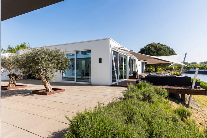 Photo 12 of Waterlelie 15