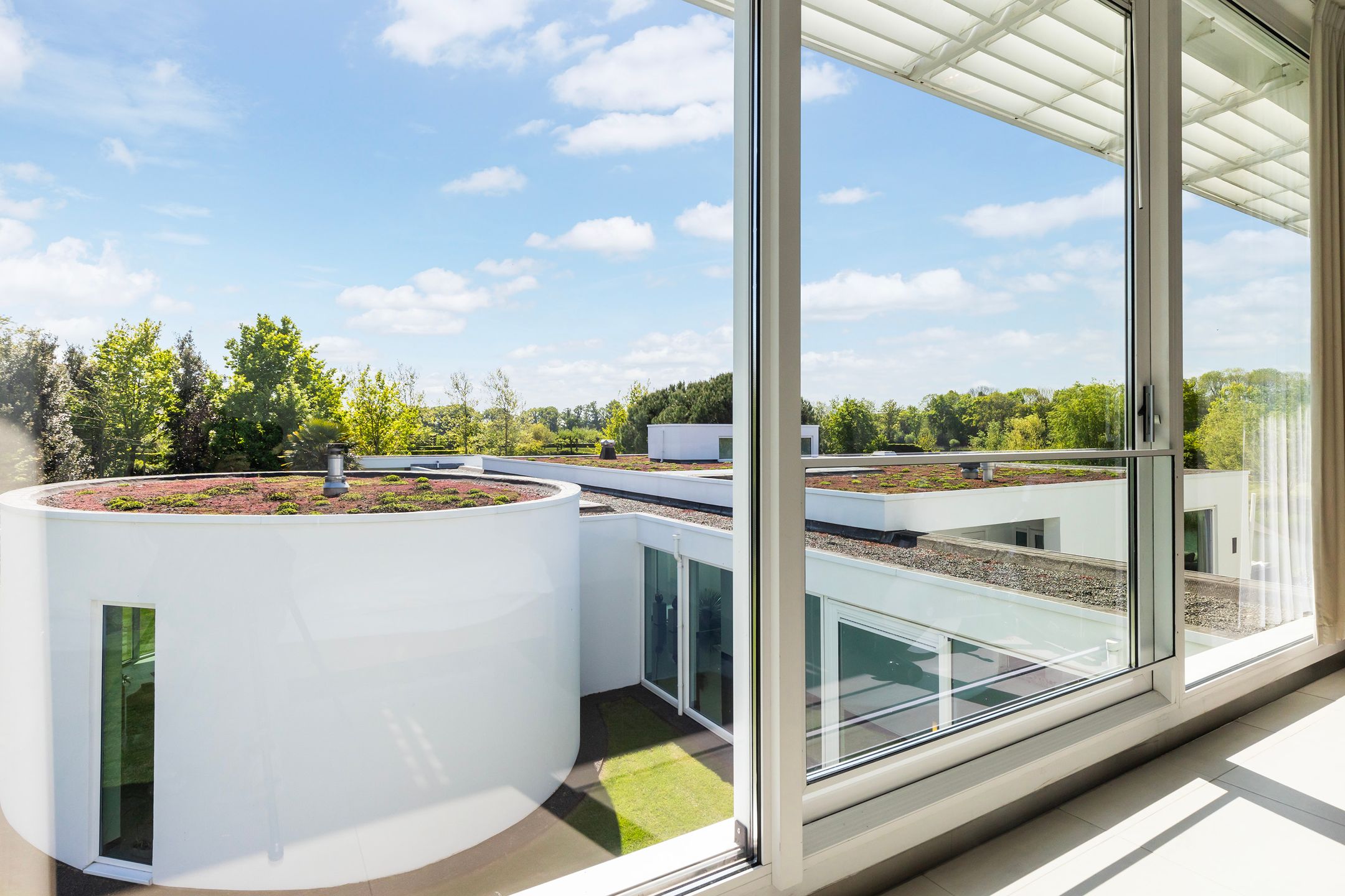 Foto 54 van Waterlelie 15