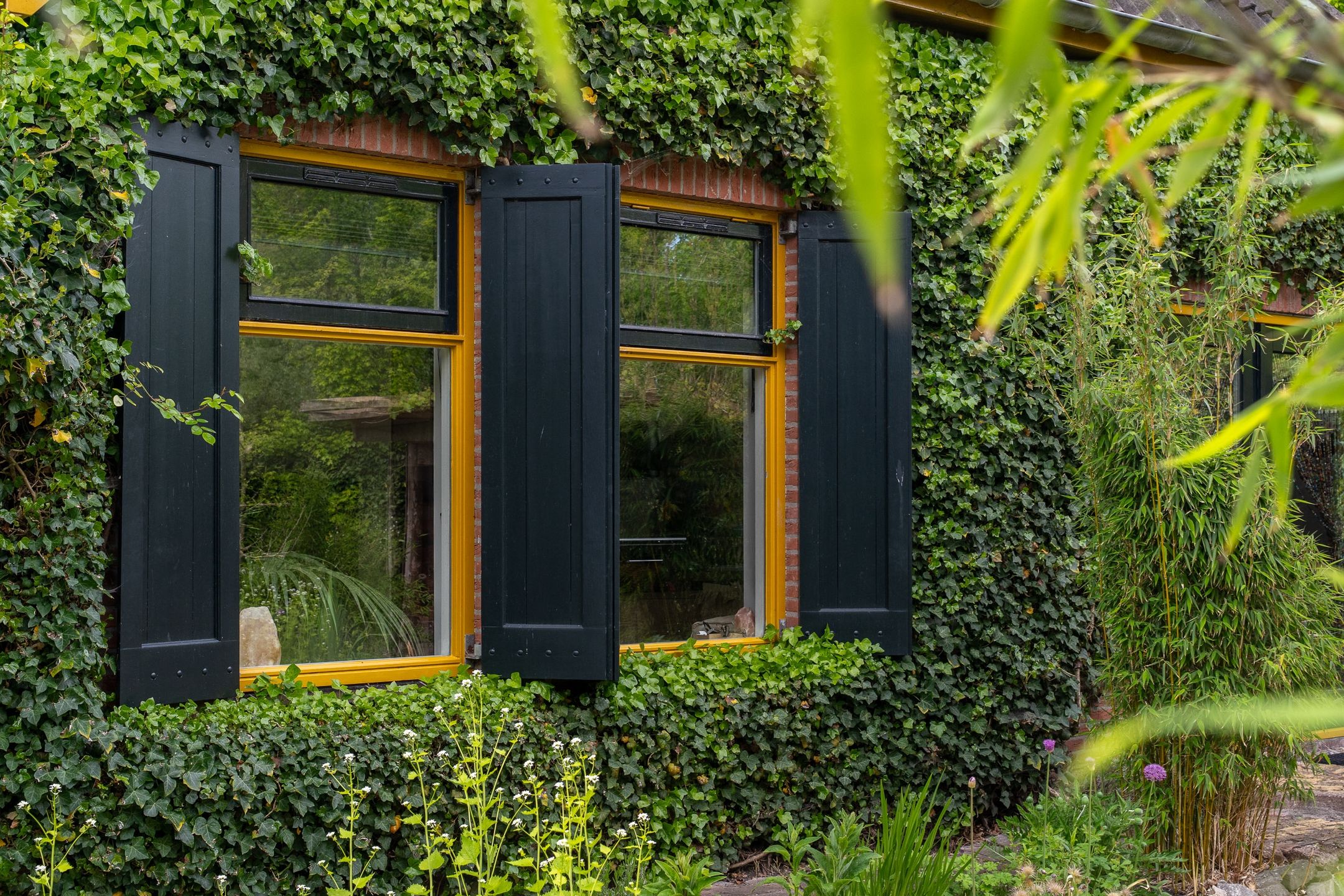 Photo 45 of IJpeijsingel 42