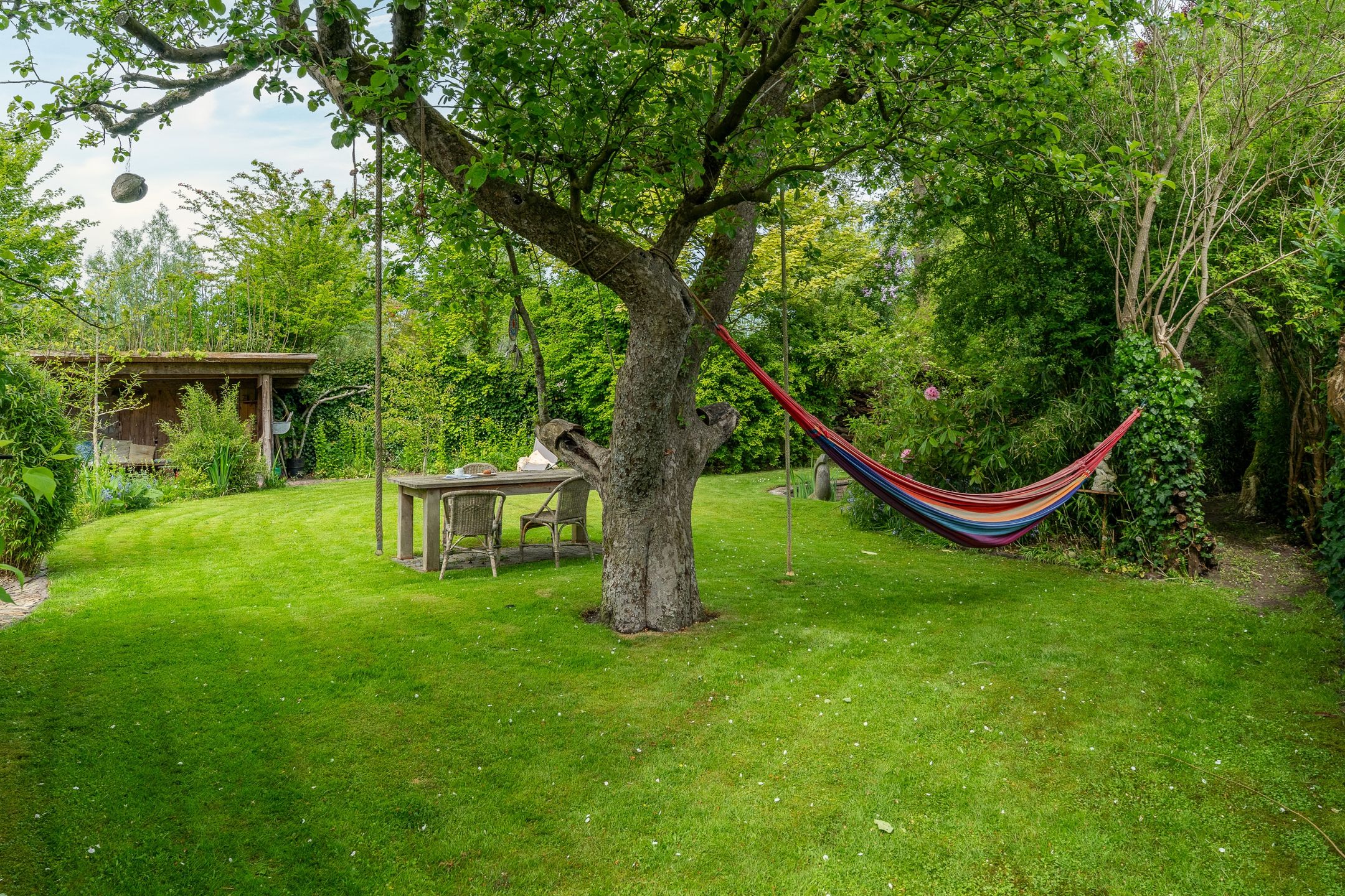 Photo 54 of IJpeijsingel 42