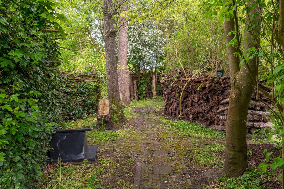 Photo 58 of IJpeijsingel 42