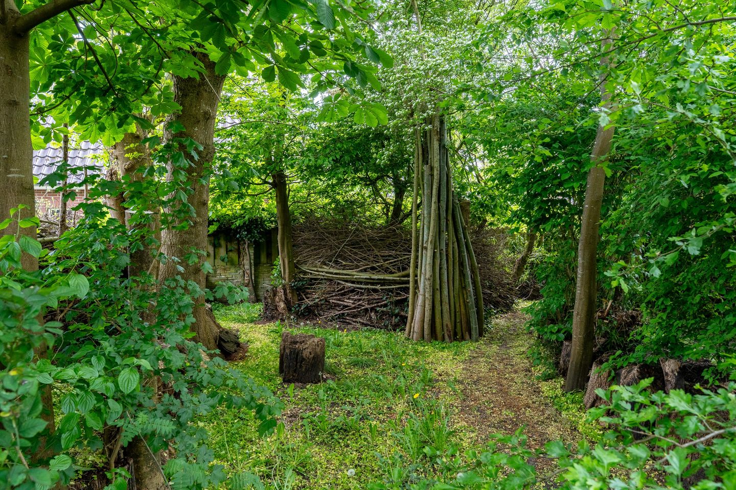 Photo 59 of IJpeijsingel 42