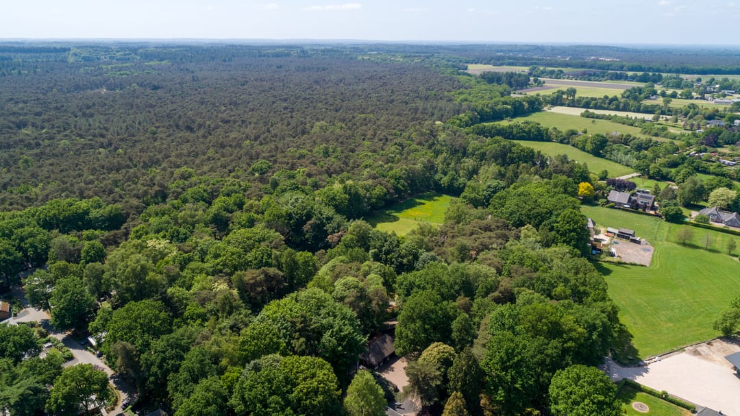 Foto 46 van Roekelseweg 35