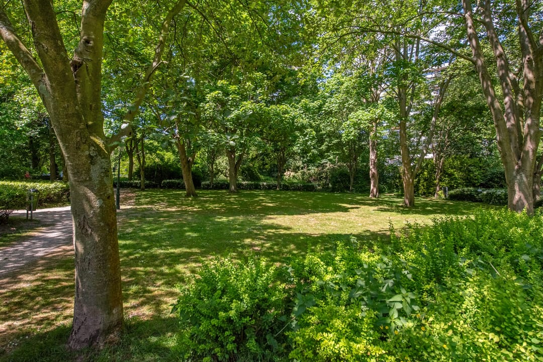 Foto 31 van Steenvoordelaan 150