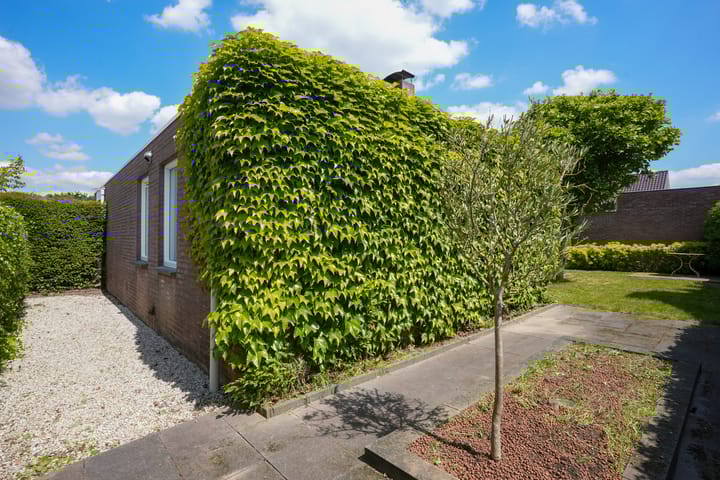 Foto 51 van Warande 4